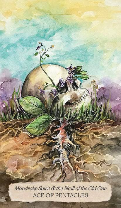 Bonestone & Earthflesh Tarot