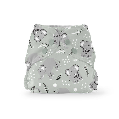 Outer (+ Swim Diaper): Turtles / One