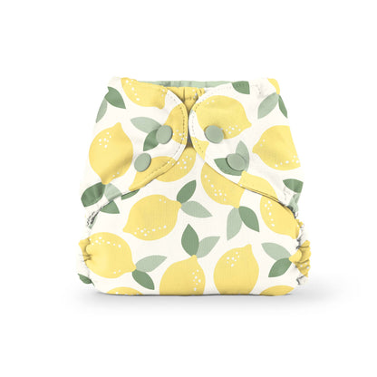 Outer (+ Swim Diaper): Turtles / One