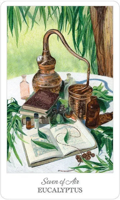 Vintage-style illustration of a still life with books, bottles, and greenery, labeled 'Seven of Air Eucalyptus'.