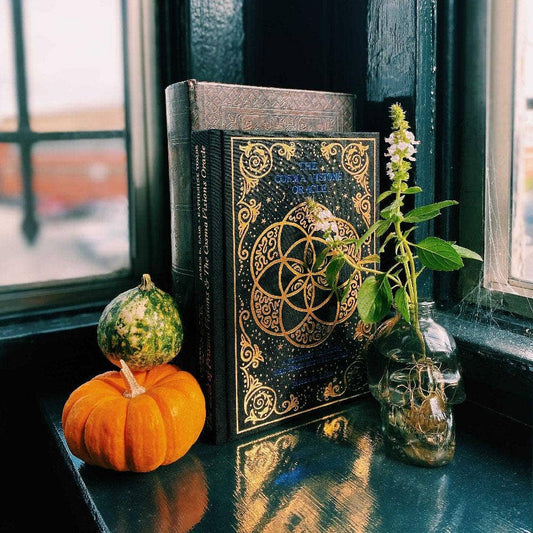 The Big Visions Book