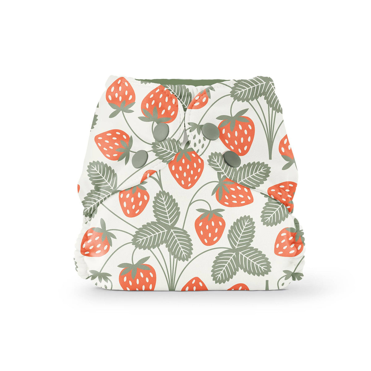 Outer (+ Swim Diaper): Turtles / One