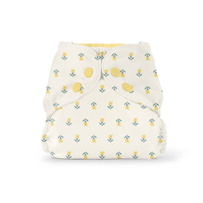Outer (+ Swim Diaper): Turtles / One